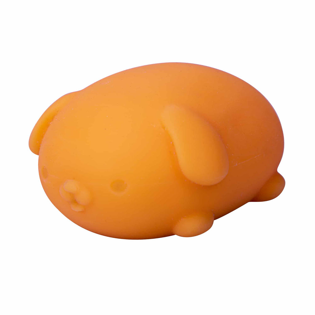 Cute Collectible NeeDoh Funky Pup | Collection Canyon Shore - Purrfect Cat Squishy Character Stress Toy Detail