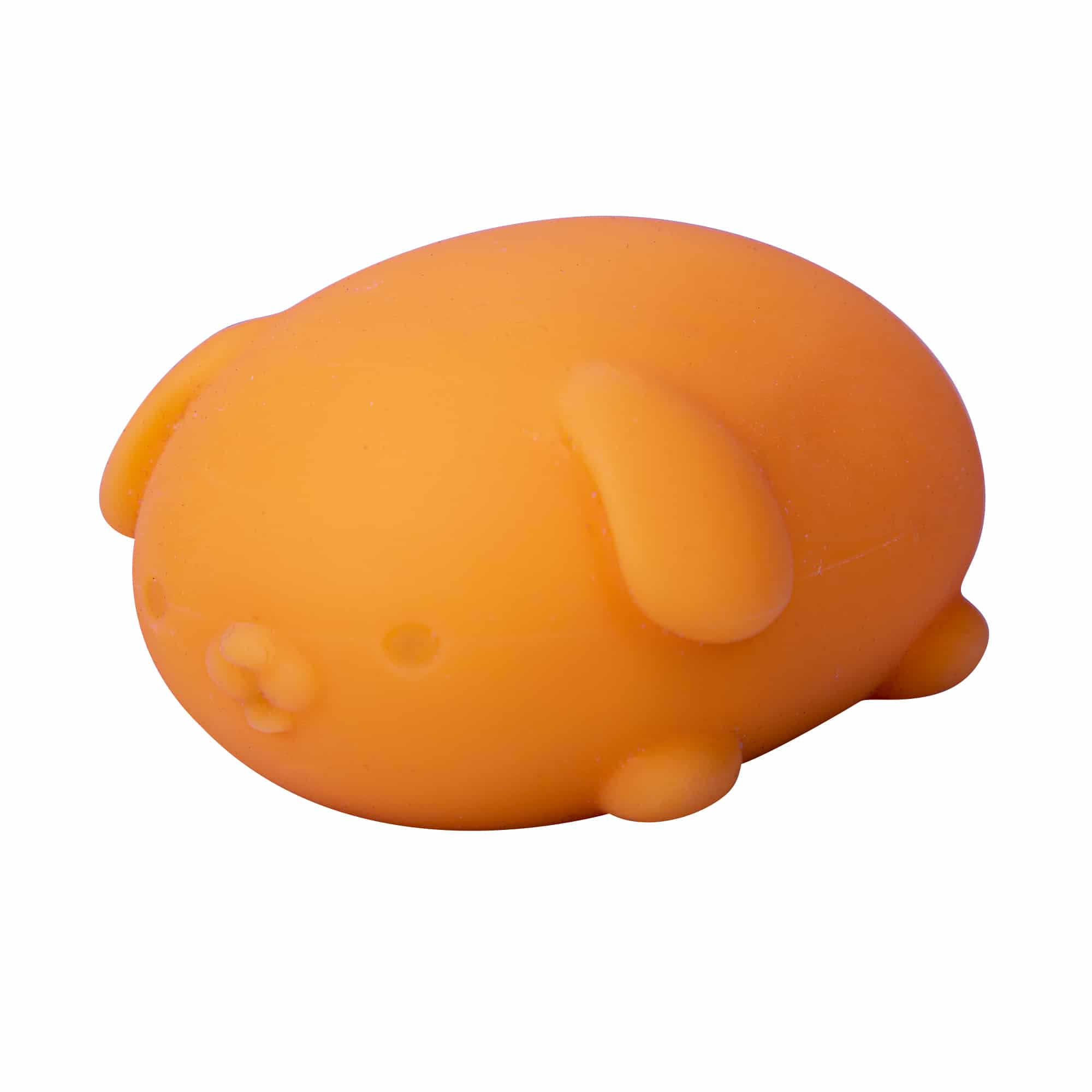 Cute Collectible NeeDoh Funky Pup | Collection Canyon Shore - Purrfect Cat Squishy Character Stress Toy Detail