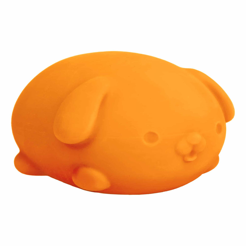 Cute Collectible NeeDoh Funky Pup | Collection Canyon Shore - Purrfect Cat Squishy Character Stress Toy Detail