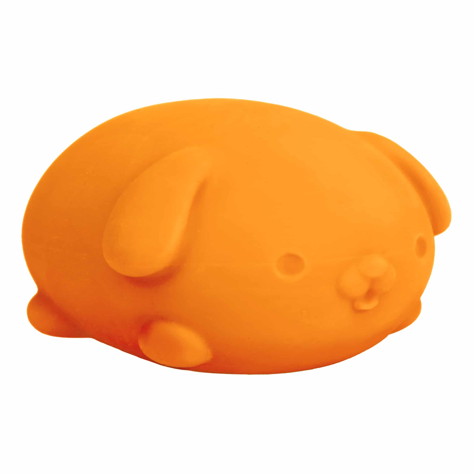 Cute Collectible NeeDoh Funky Pup | Collection Canyon Shore - Purrfect Cat Squishy Character Stress Toy Detail