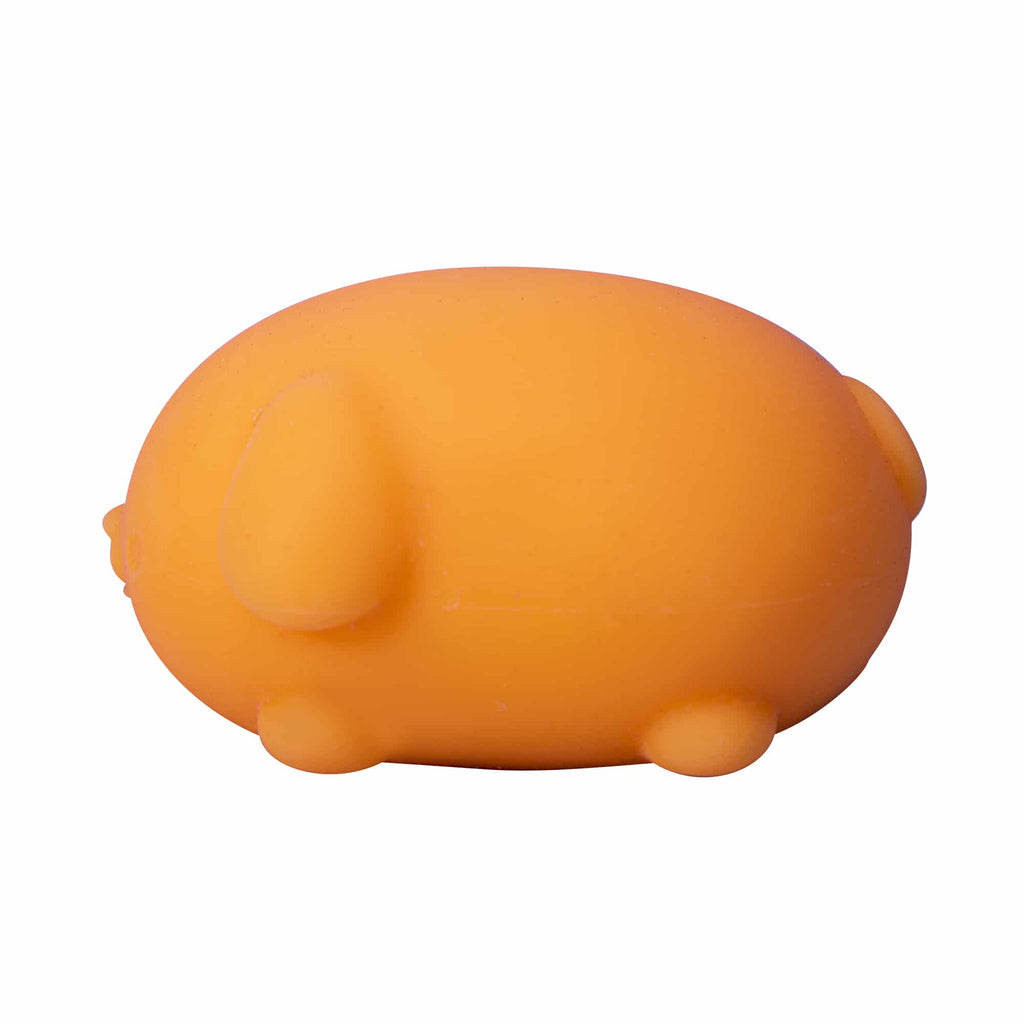 Cute Collectible NeeDoh Funky Pup | Collection Canyon Shore - Purrfect Cat Squishy Character Stress Toy Detail
