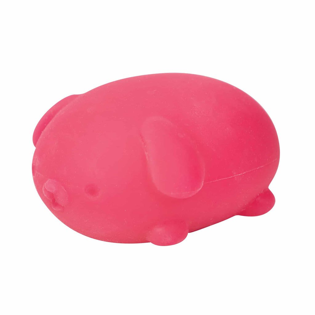 Cute Collectible NeeDoh Funky Pup | Collection Canyon Shore - Purrfect Cat Squishy Character Stress Toy Detail