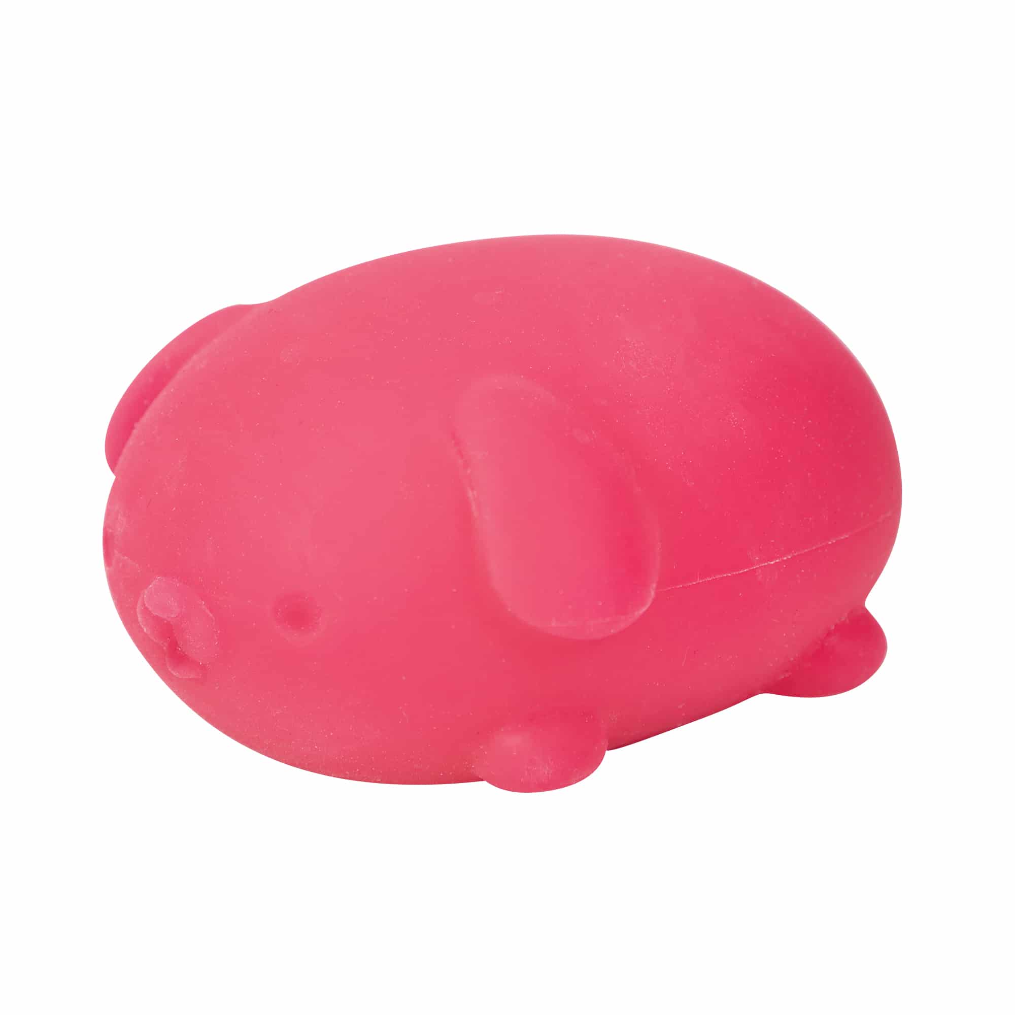 Cute Collectible NeeDoh Funky Pup | Collection Canyon Shore - Purrfect Cat Squishy Character Stress Toy Detail