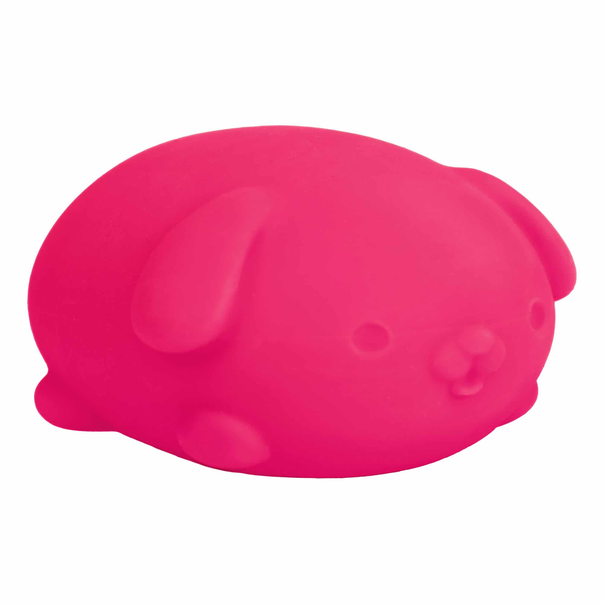 Cute Collectible NeeDoh Funky Pup | Collection Canyon Shore - Purrfect Cat Squishy Character Stress Toy Detail