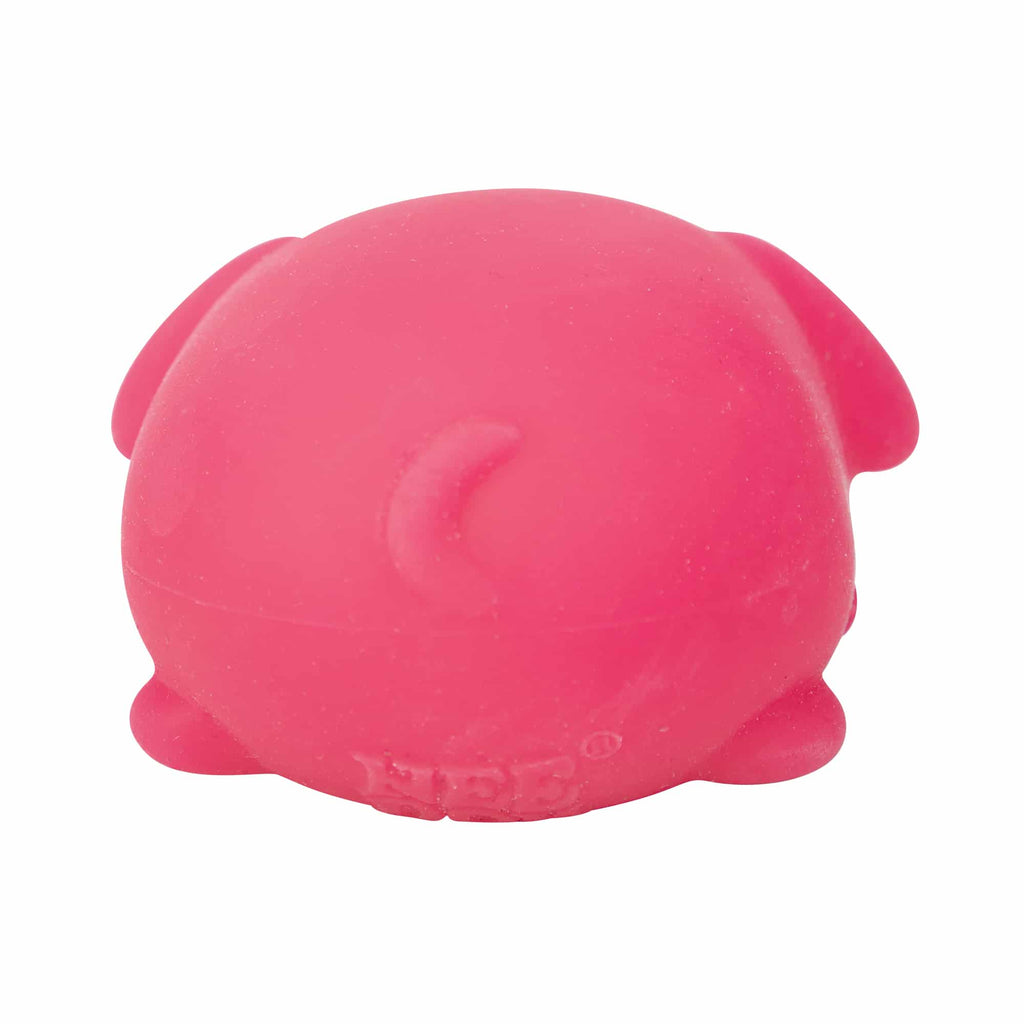 Cute Collectible NeeDoh Funky Pup | Collection Canyon Shore - Purrfect Cat Squishy Character Stress Toy Detail