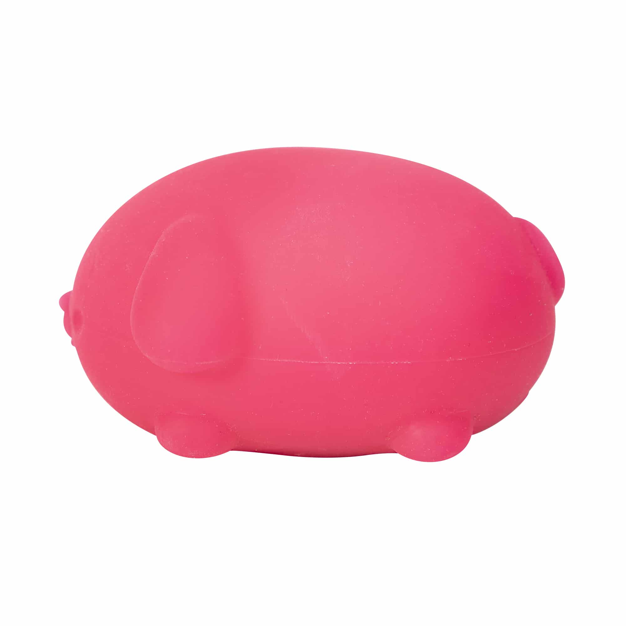 Cute Collectible NeeDoh Funky Pup | Collection Canyon Shore - Purrfect Cat Squishy Character Stress Toy Detail