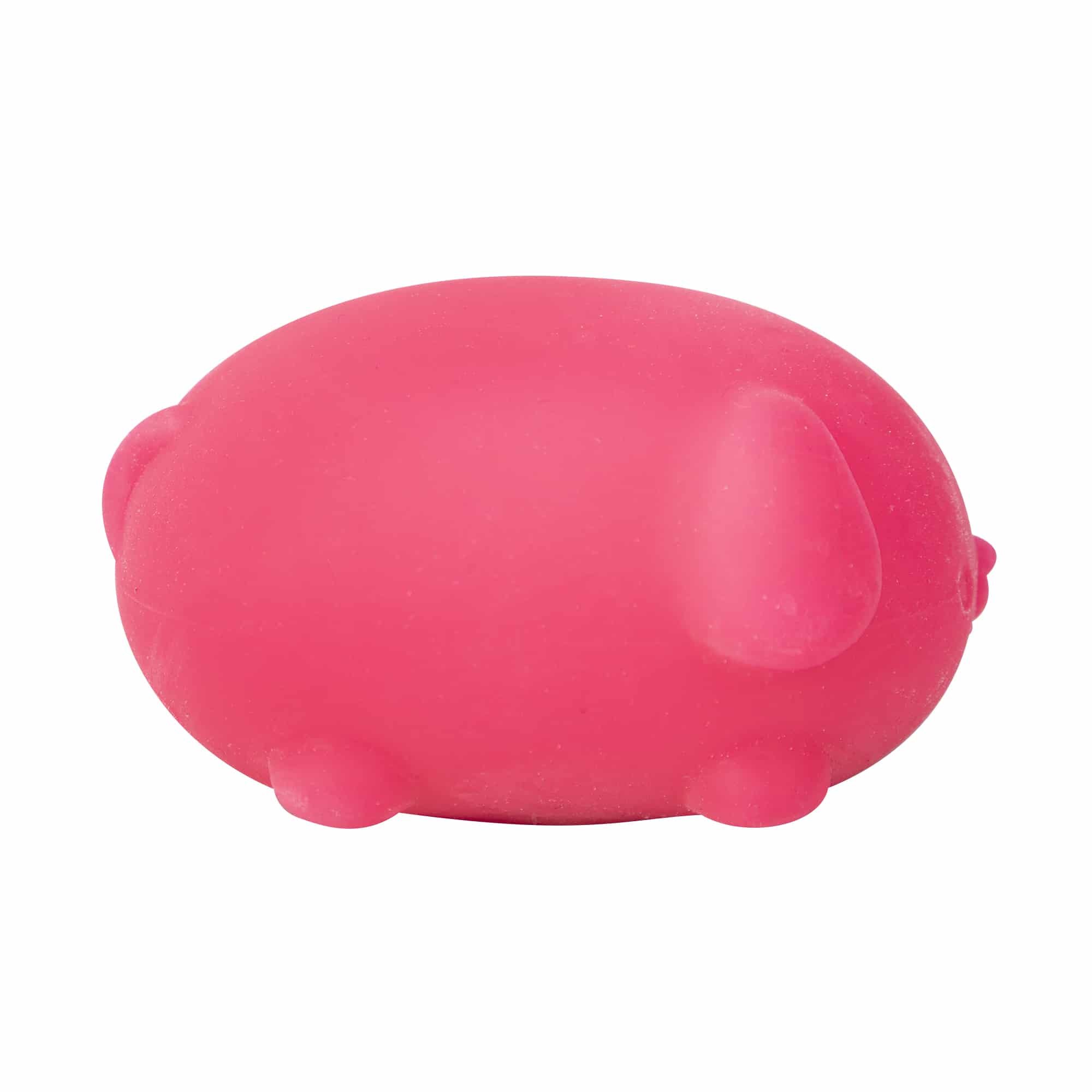 Cute Collectible NeeDoh Funky Pup | Collection Canyon Shore - Purrfect Cat Squishy Character Stress Toy Detail
