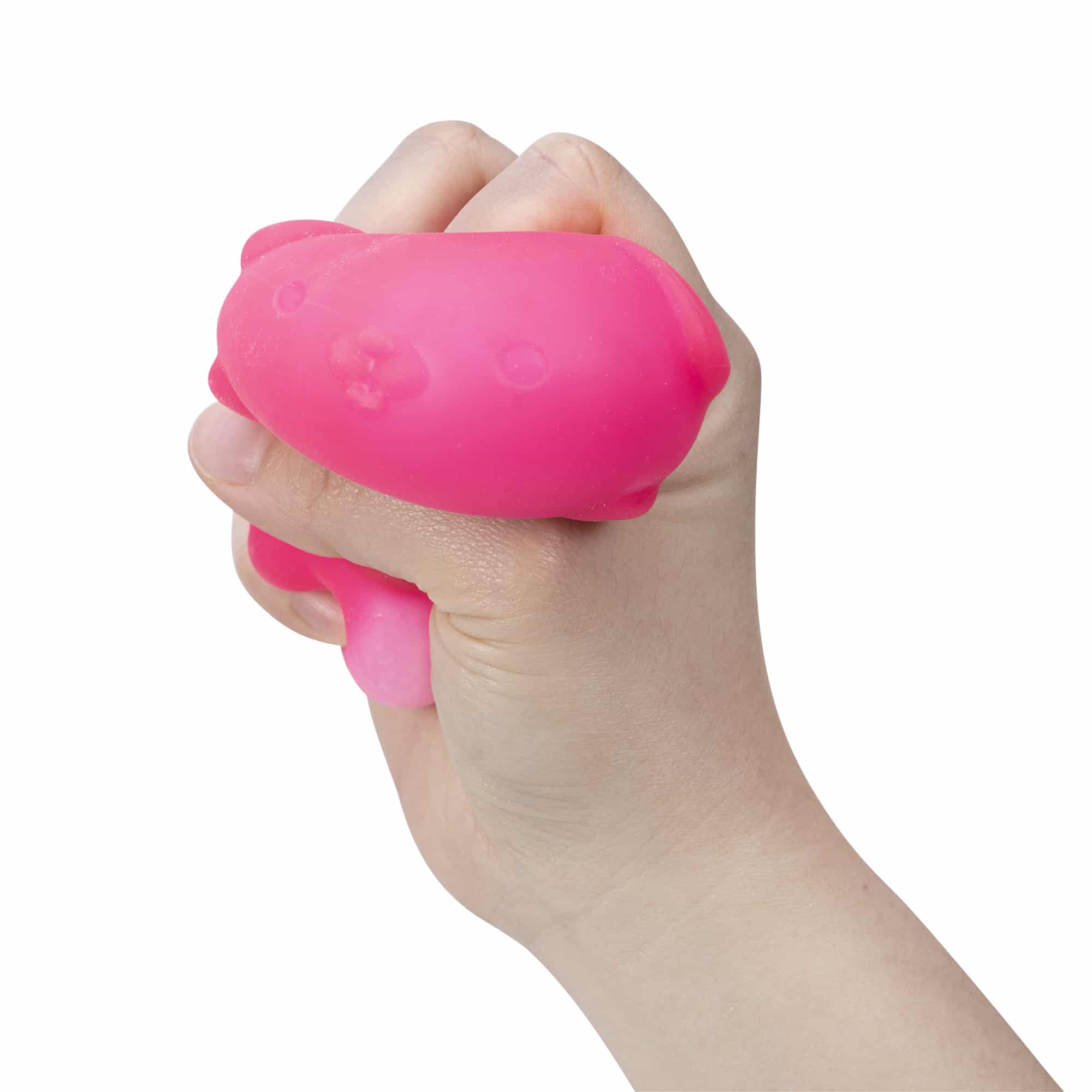 Cute Collectible NeeDoh Funky Pup | Collection Canyon Shore - Purrfect Cat Squishy Character Stress Toy Detail