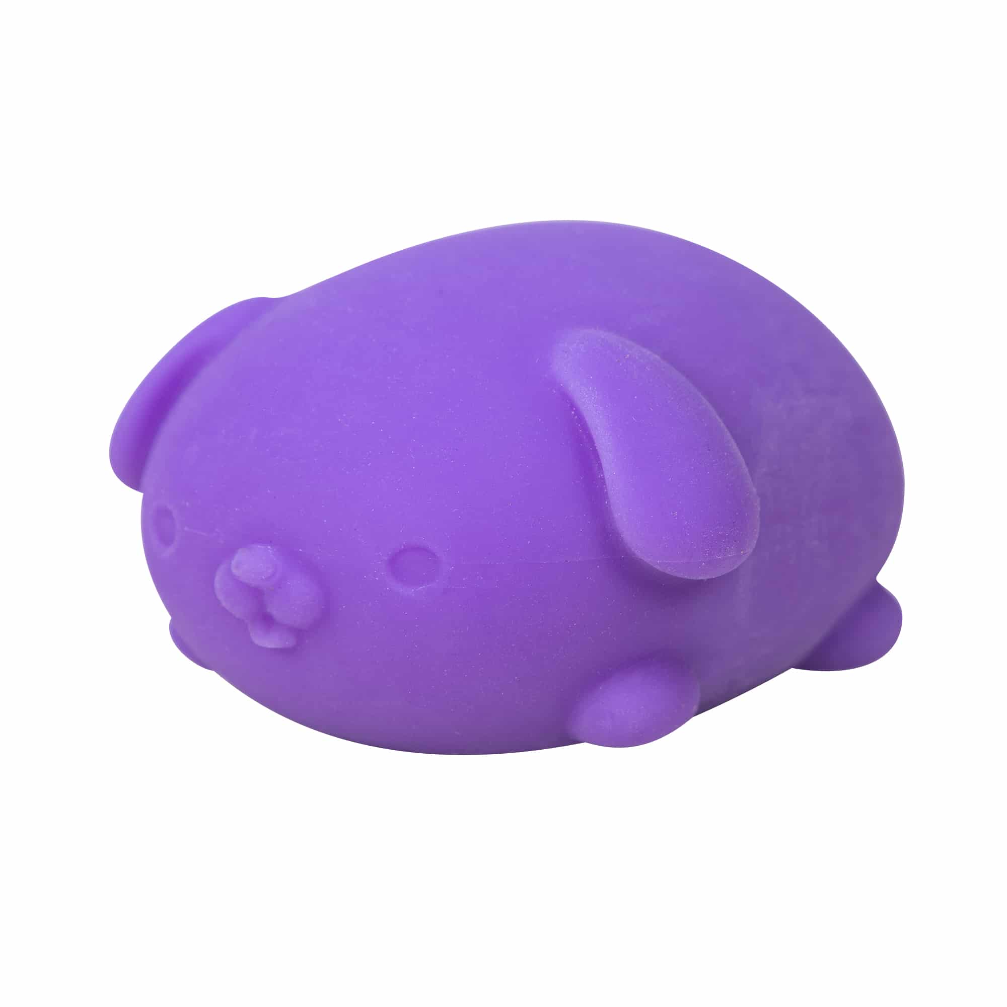 Cute Collectible NeeDoh Funky Pup | Collection Canyon Shore - Purrfect Cat Squishy Character Stress Toy Detail
