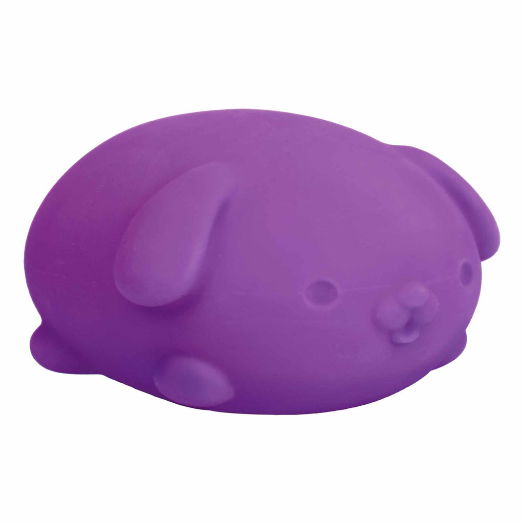 Cute Collectible NeeDoh Funky Pup | Collection Canyon Shore - Purrfect Cat Squishy Character Stress Toy Detail