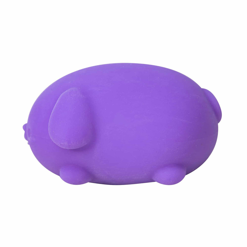 Cute Collectible NeeDoh Funky Pup | Collection Canyon Shore - Purrfect Cat Squishy Character Stress Toy Detail