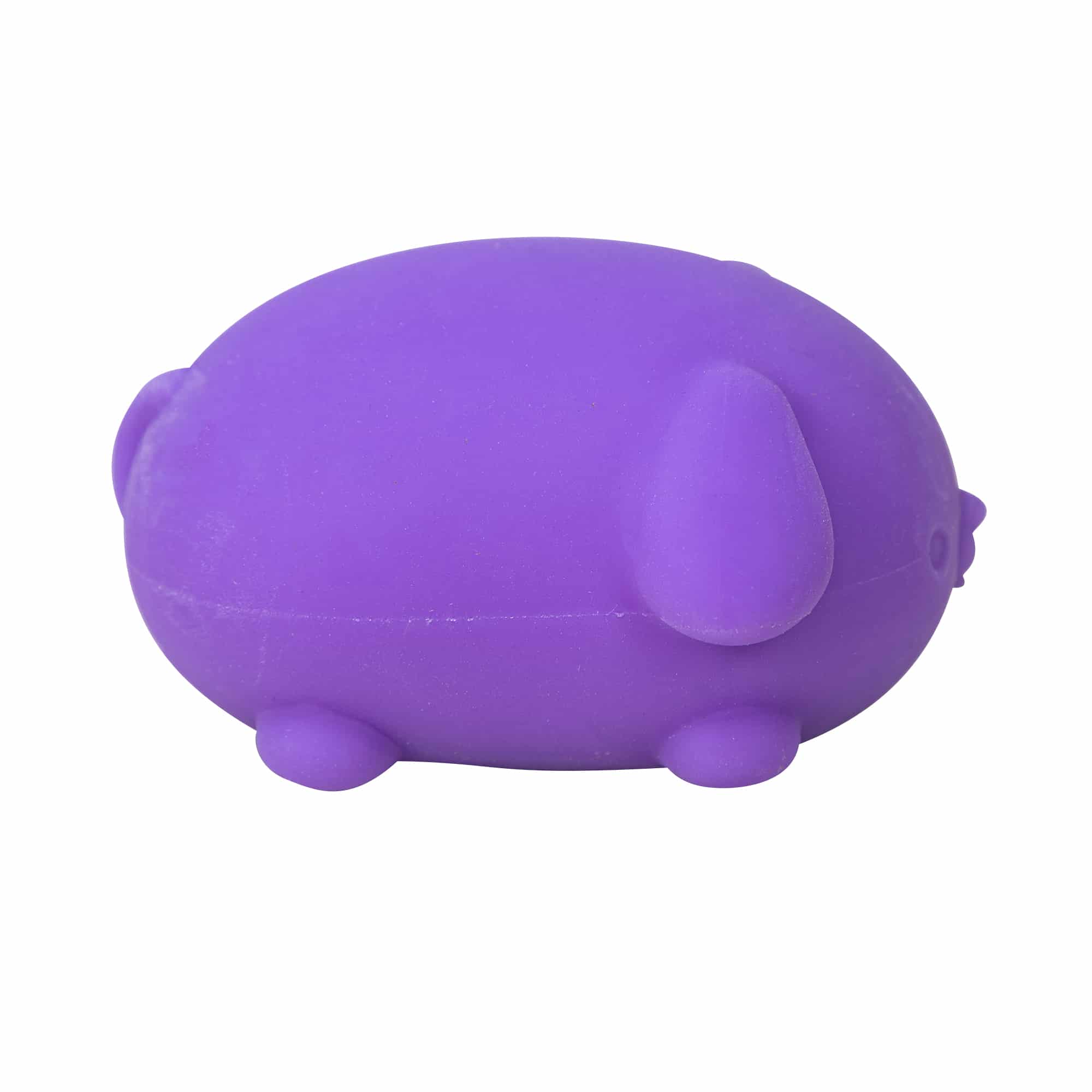 Cute Collectible NeeDoh Funky Pup | Collection Canyon Shore - Purrfect Cat Squishy Character Stress Toy Detail