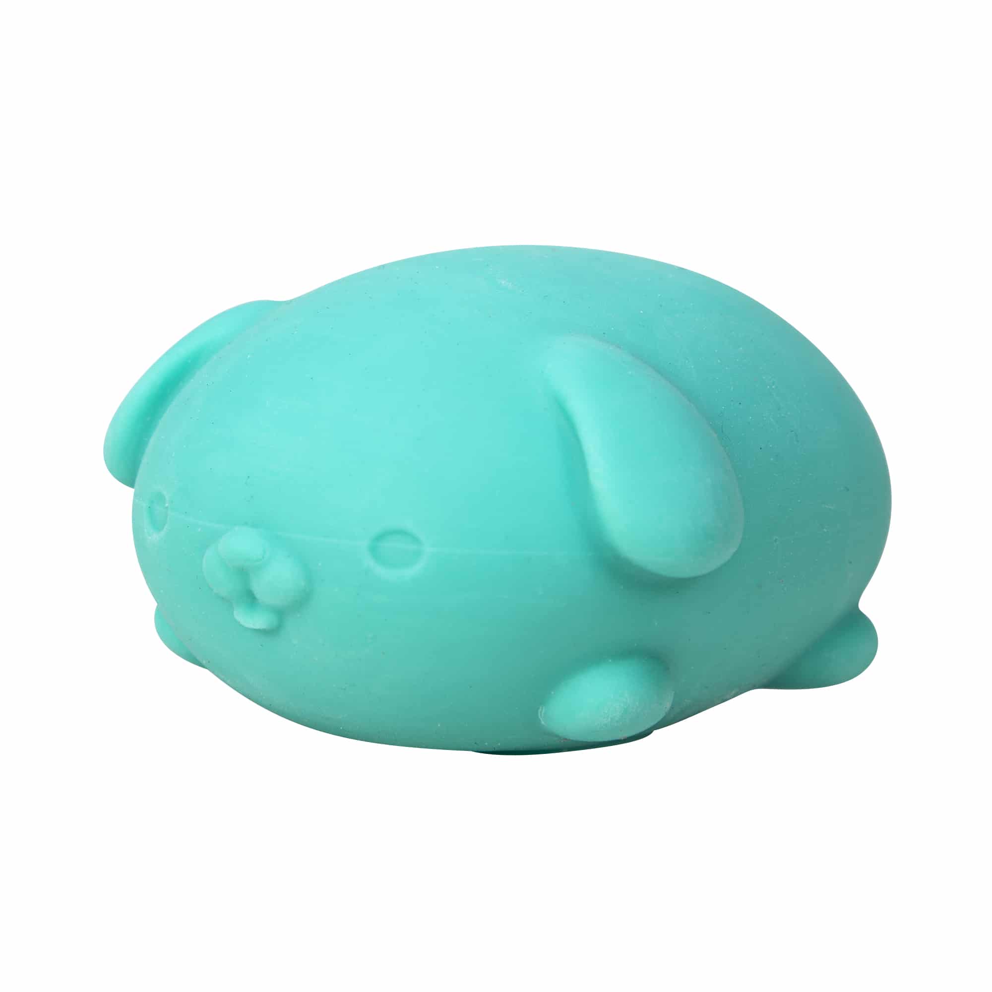 Cute Collectible NeeDoh Funky Pup | Collection Canyon Shore - Purrfect Cat Squishy Character Stress Toy Detail