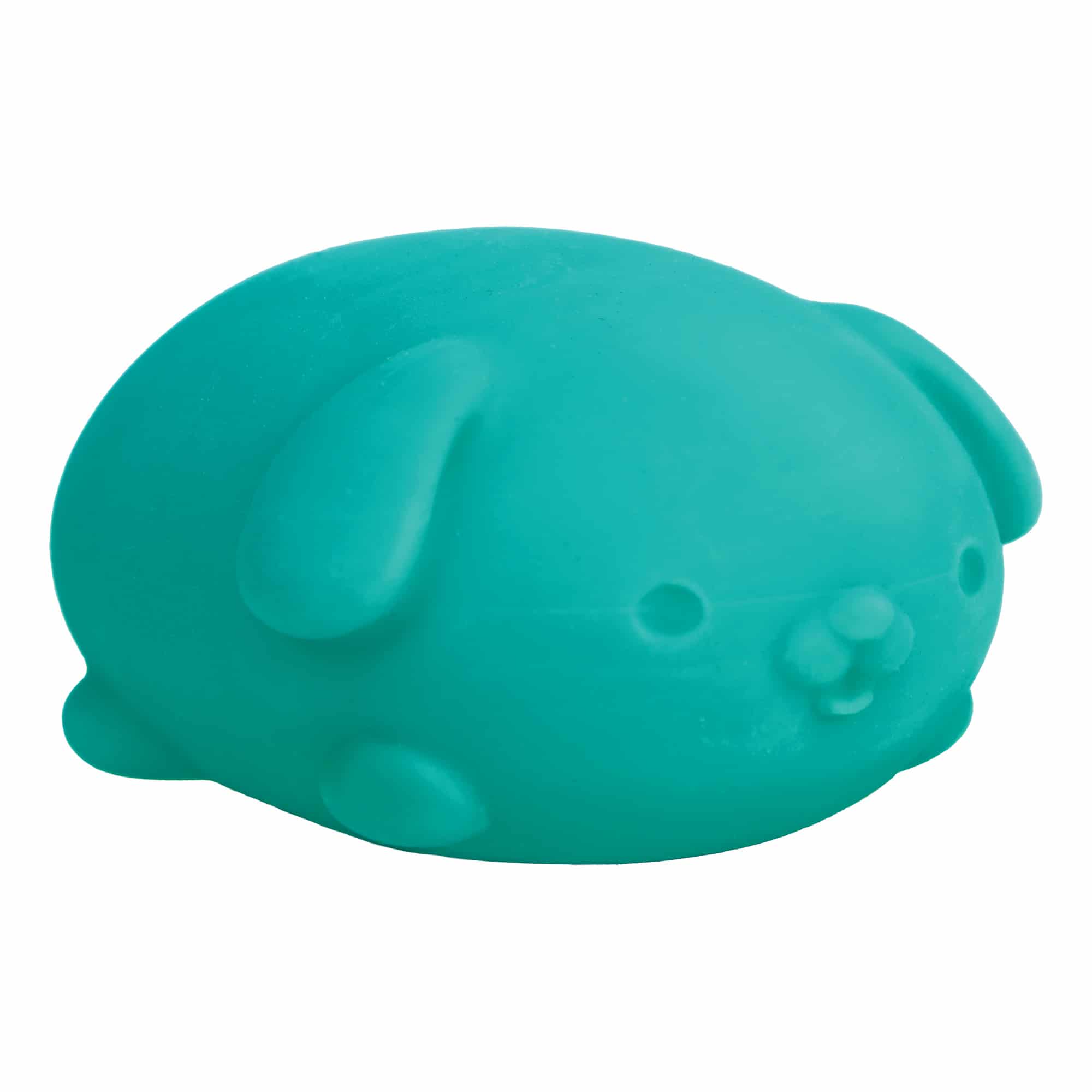 Cute Collectible NeeDoh Funky Pup | Collection Canyon Shore - Purrfect Cat Squishy Character Stress Toy Detail
