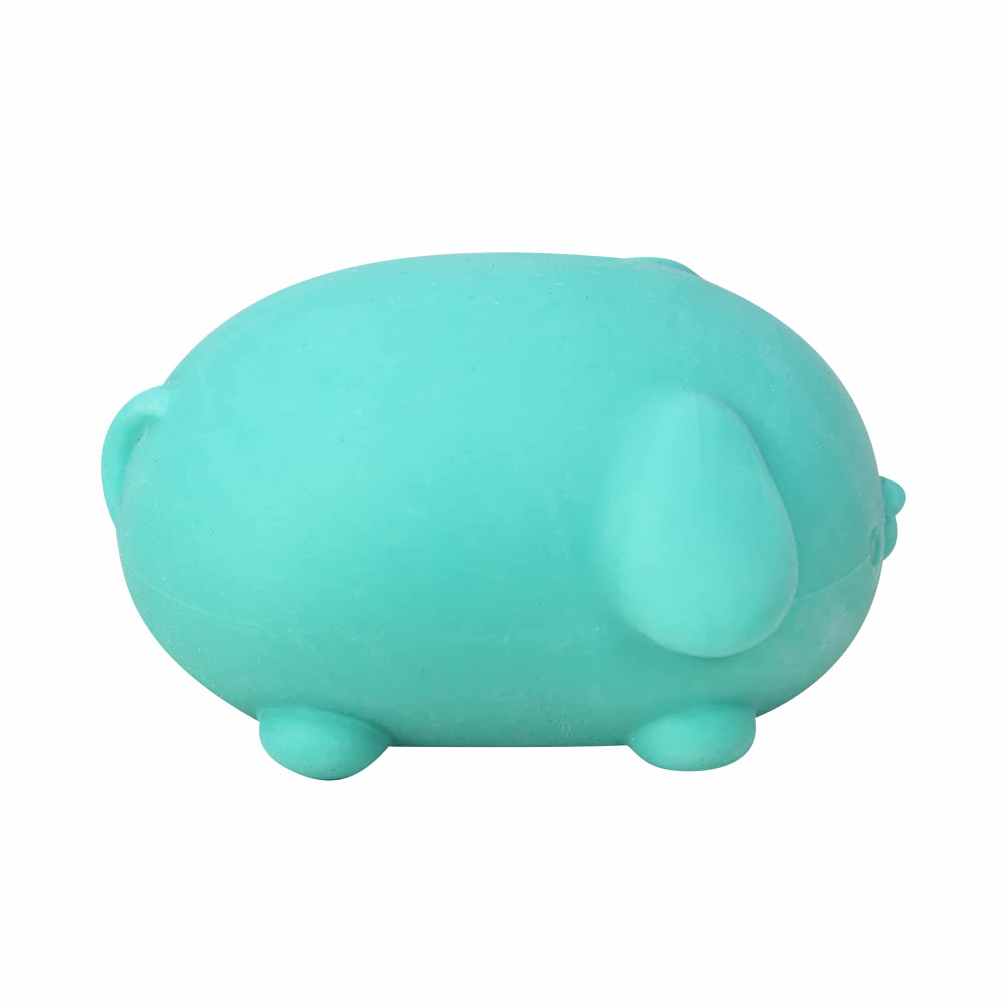 Cute Collectible NeeDoh Funky Pup | Collection Canyon Shore - Purrfect Cat Squishy Character Stress Toy Detail