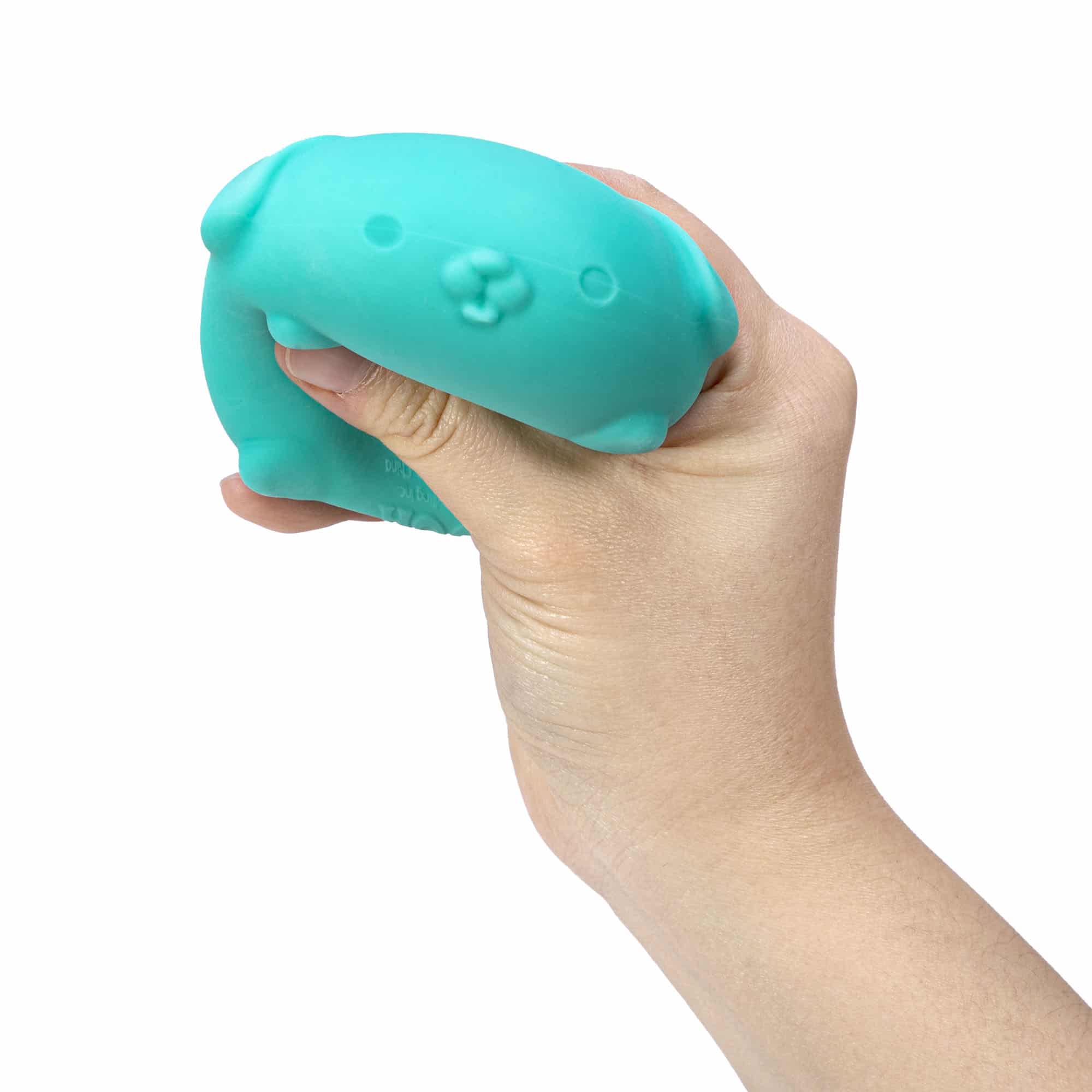 Cute Collectible NeeDoh Funky Pup | Collection Canyon Shore - Purrfect Cat Squishy Character Stress Toy Detail
